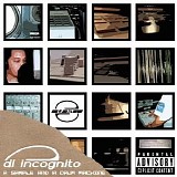 DL Incognito - A Sample and A Drum Machine