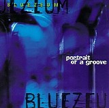 Bluezeum - Portrait Of A Groove