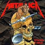 Metallica - Harvester Of Sorrow