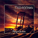 Tim Feehan - Pray For Rain