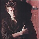 Henley, Don (Don Henley) - Building The Perfect Beast