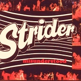 Strider - Misunderstood