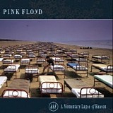 Pink Floyd - A Momentary Laps Of Reason