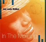 Joe Louis Walker - In The Morning