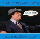 Andrew "Big Voice" Odom - Feel So Good