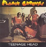 Flamin' groovies - Teenage Head