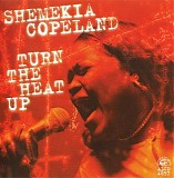 Shemekia Copeland - Turn The Heat Up    @320