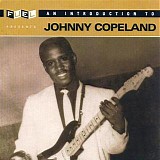 Johnny Copeland - An Introduction To Johnny Copeland