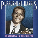 Peppermint Harris - Penthouse In The Ghetto    @256