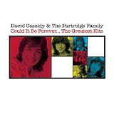 David Cassidy & The Partridge Family - Could It Be Forever - The Greatest Hits