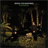 Echo & the Bunnymen - Evergreen