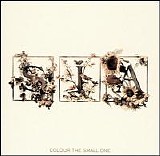 Sia - Colour the small one