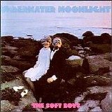 The Soft Boys - Underwater Moonlight