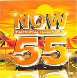 Various artists - Now Thats What I Call Music - 55