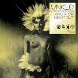 UNKLE - Where Did The Night Fall - Another Night Out