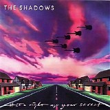 Shadows, The - Hits Right Up Your Street