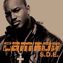 Cam'Ron - S.D.E.