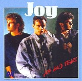 Joy - Joy And Tears