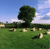 KLF, The - Chill Out