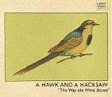 A Hawk and a Hacksaw - The Way The Wind Blows