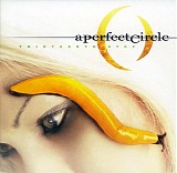 A Perfect Circle - Thirteenth Step