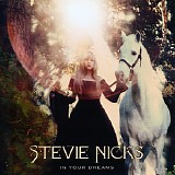 Stevie Nicks - In Your Dreams