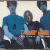 The Dandy Warhols - Not if you were the last junkie on earth