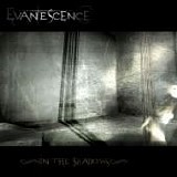 Evanescence - In The Shadows -2007-