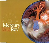 Mercury Rev - The Dark Is Rising