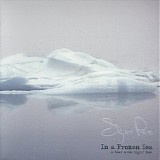 Sigur Rós - In A Frozen Sea : A Year With Sigur Ros (7LP)