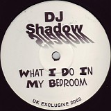 DJ Shadow - What I Do In My Bedroom