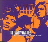 Dandy Warhols - Not If You Were The Last Junkie On Earth