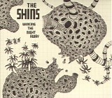 Shins - Wincing The Night Away (Japan Release)