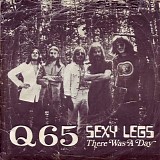 Q65 - Sexy Legs