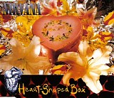 Nirvana - Heart-Shaped Box