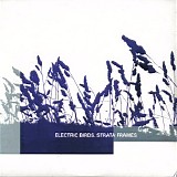 Electric Birds - Strata Frames