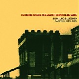 Various artists - I'm Going Where The Water Drinks Like Wine  @320