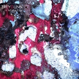 Trey Gunn - I'll Tell What I Saw