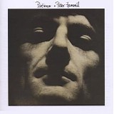 Peter Hammill - Patience