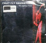 Fruit Fly Navigators - the urgency of now