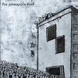 The Pineapple Thief - 8 Days Later