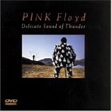 Pink Floyd - Delicate Sound Of Thunder