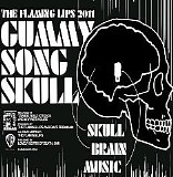 Flaming Lips - Gummy Song Skull