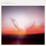 Cicada - Sunburst