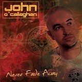 John O'Callaghan - Never Fade Away