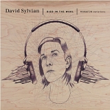 David Sylvian - Died in the Wool