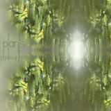 Plants - Photosynthesis