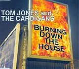 Tom Jones and The Cardigans - Burning down the house