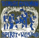 Teenage Caveman - Spirit Of Wildwood