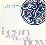 Hothouse Flowers - I Can See Clearly Now